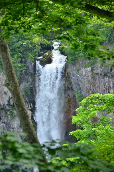 DSC_3952 (Large).JPG